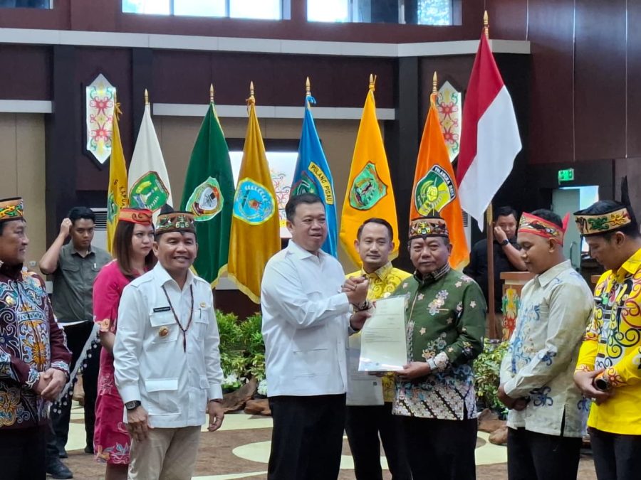 WhatsApp Image 2025-12-11 at 15.08.44