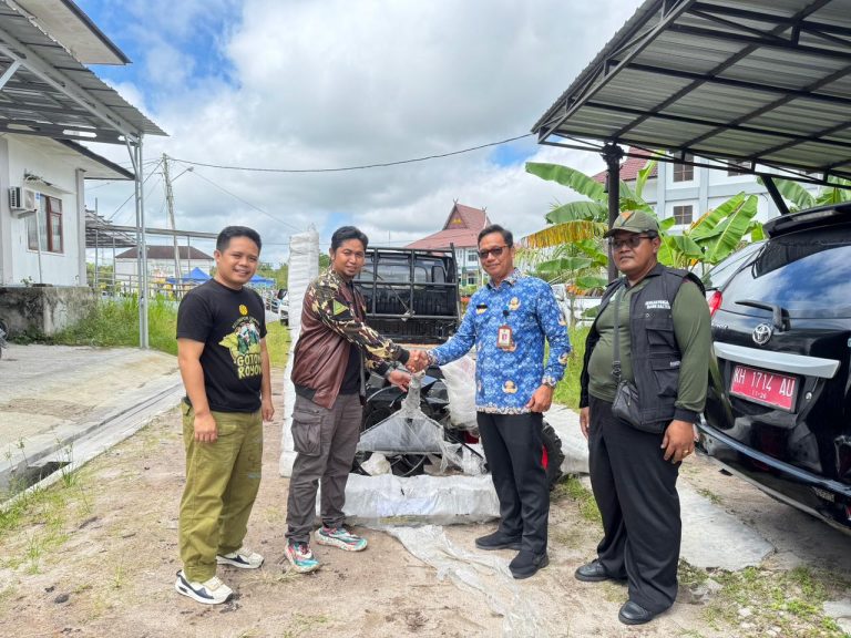 WhatsApp Image 2025-12-19 at 13.29.43