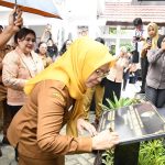 WhatsApp Image 2026-03-31 at 07.55.29