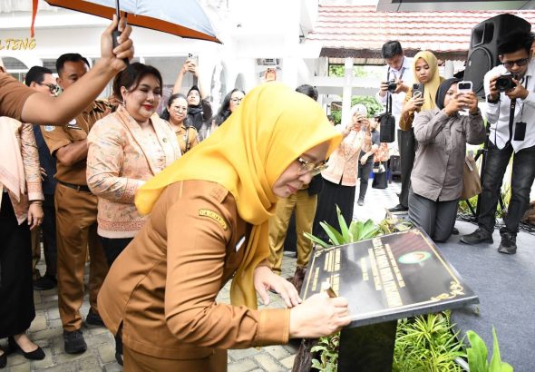 WhatsApp Image 2026-03-31 at 07.55.29